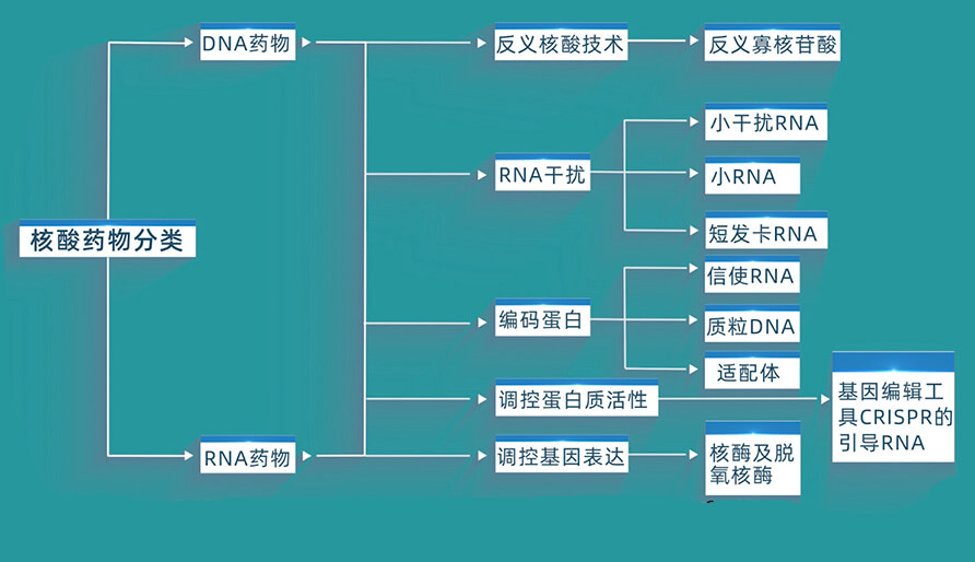 核酸药物的分类有哪些？？？？？？