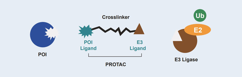 欧博ABG PROTAC 药物发明手艺效劳平台