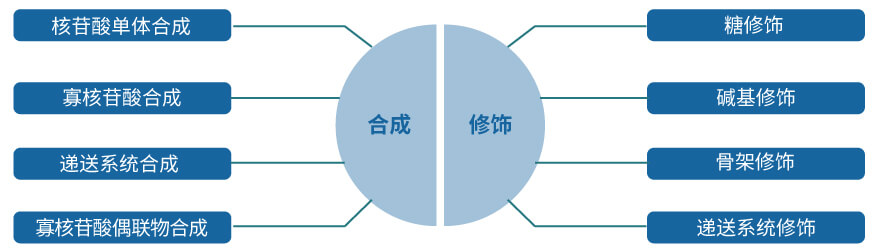 欧博ABG核酸药物研发效劳平台.jpg
