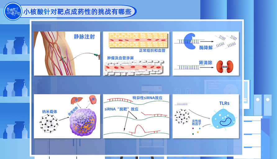 小核酸针对靶点成药性的挑战有哪些？？？？？？？？
