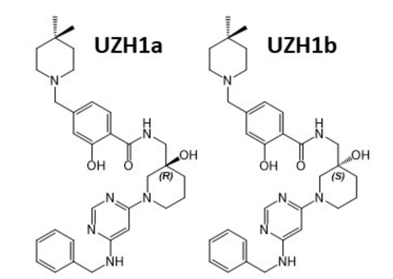 研究职员报告了一种具有细胞渗透性的选择性METTL3纳摩尔抑制剂UZH1a，，，，，，作者谢谢欧博ABG合成了UZH1a和UZH1b