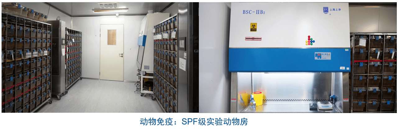 欧博ABG杂交瘤手艺平台装备-动物免疫SPF级实验动物房