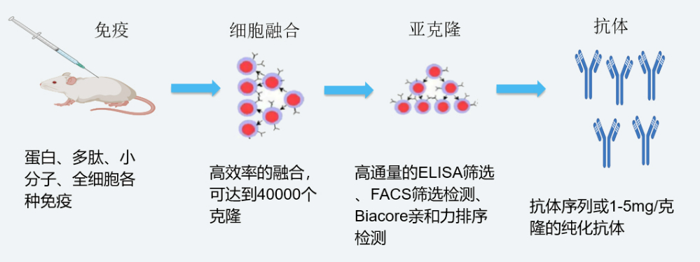 欧博ABG杂交瘤手艺平台开发流程