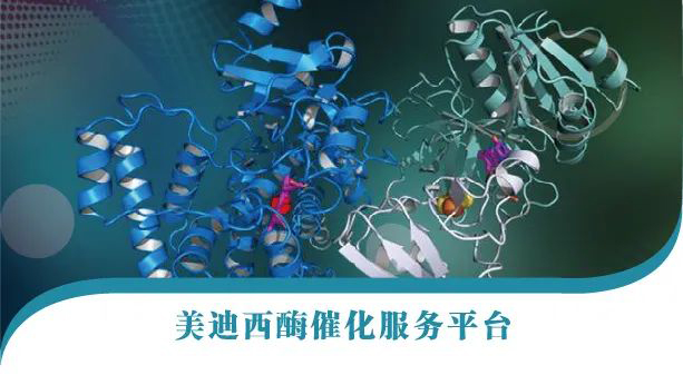 欧博ABG酶催化效劳平台.jpg