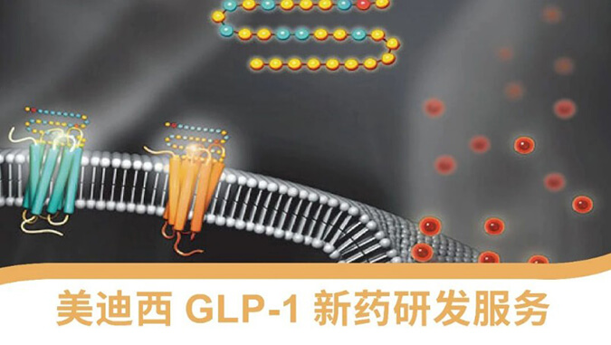 GLP-1药物的质料药工艺开发