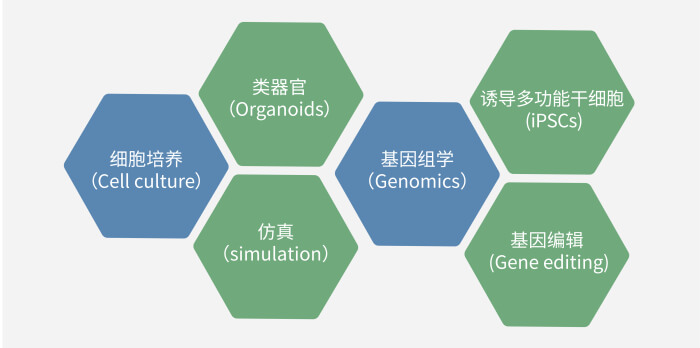 六大手艺板块已上线，，，，，，一连升级中.jpg