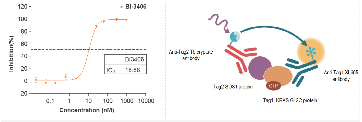 Kras G12C-SOS1团结的IC50活性测试筛选试验化合物.png