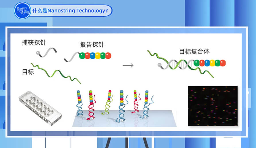 什么是Nanostring 手艺？？？？？？？？