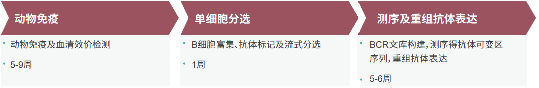 欧博ABG单B细胞抗体发明平台