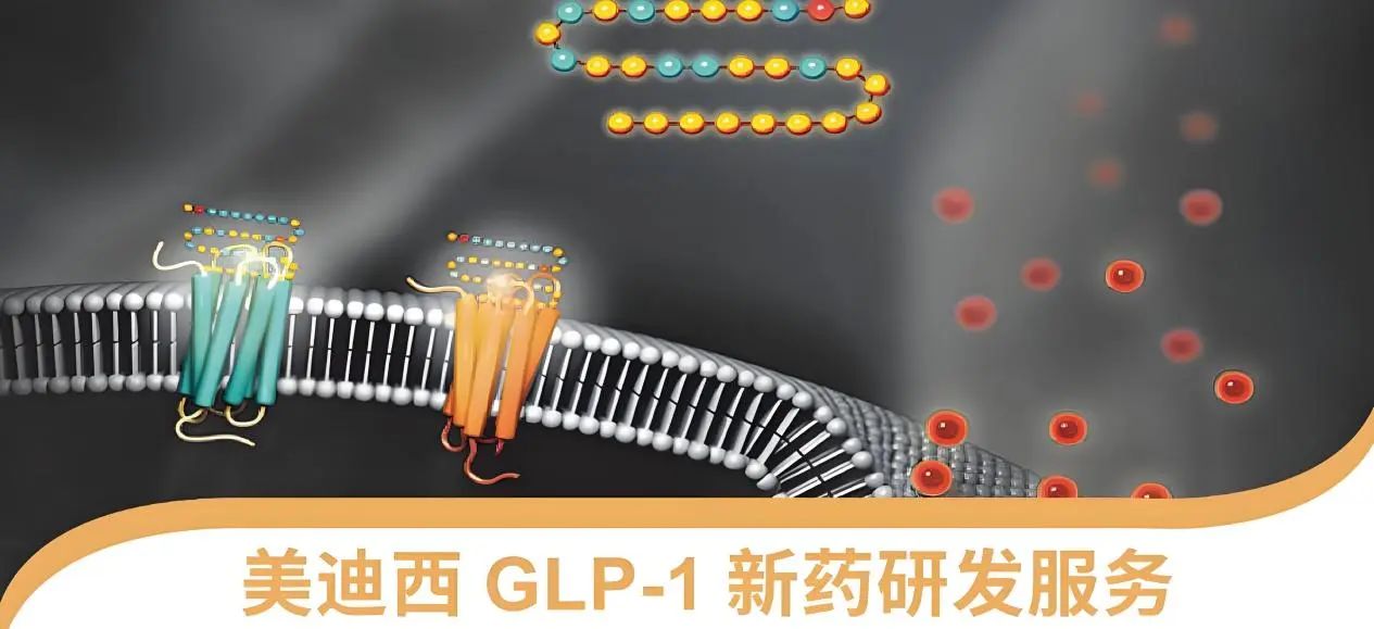 70.5%的成人正在悄悄长胖！国家卫健委“减肥令”下，，，，，，，GLP-1药物怎样突围？？？？？