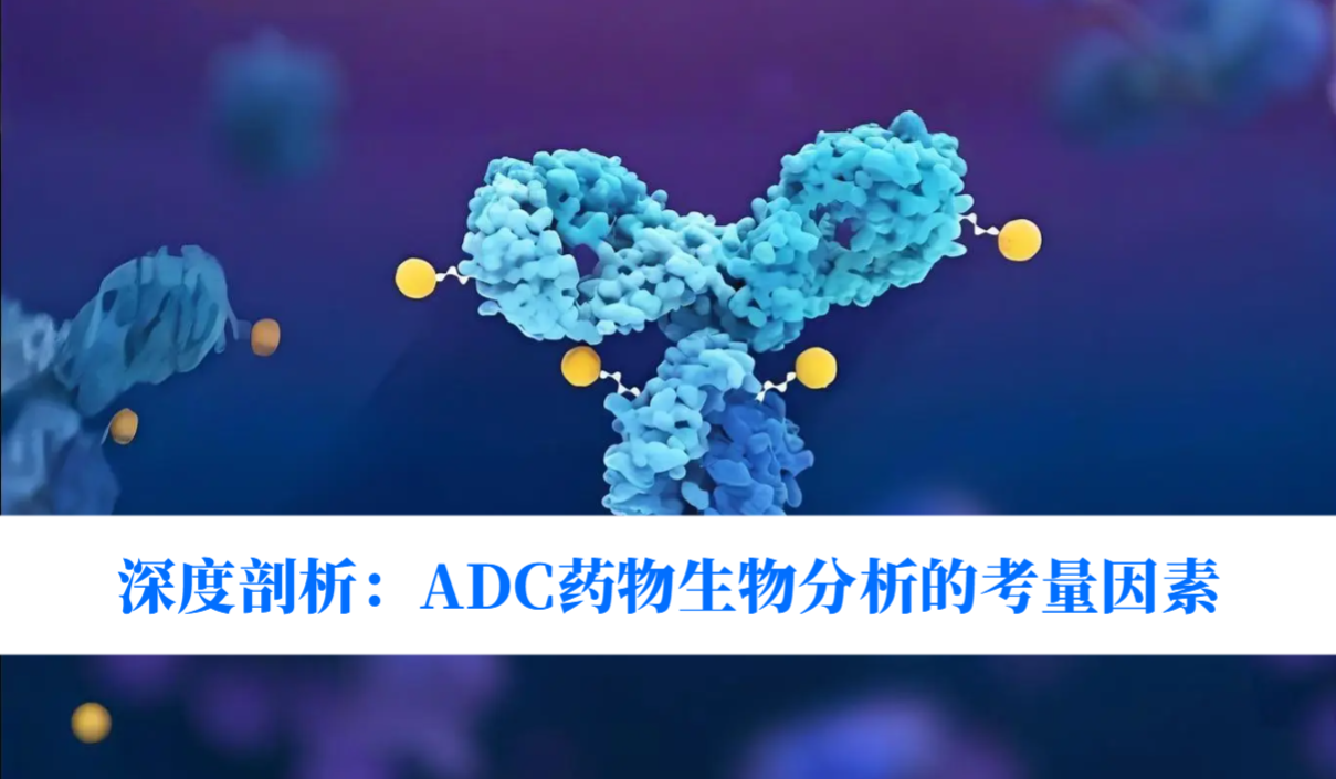 深度剖析：ADC药物生物剖析的考量因素