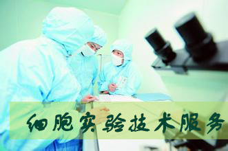欧博ABG细胞实验效劳外包