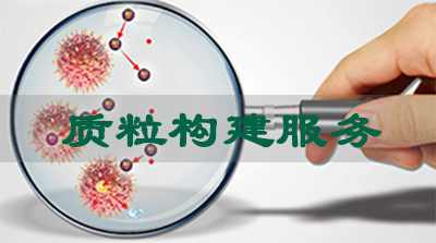 欧博ABG质粒构建效劳
