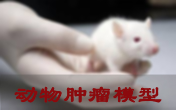 欧博ABG肿瘤模子建设效劳