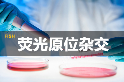 欧博ABG荧光原位杂交手艺