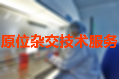 欧博ABG原位杂交手艺效劳