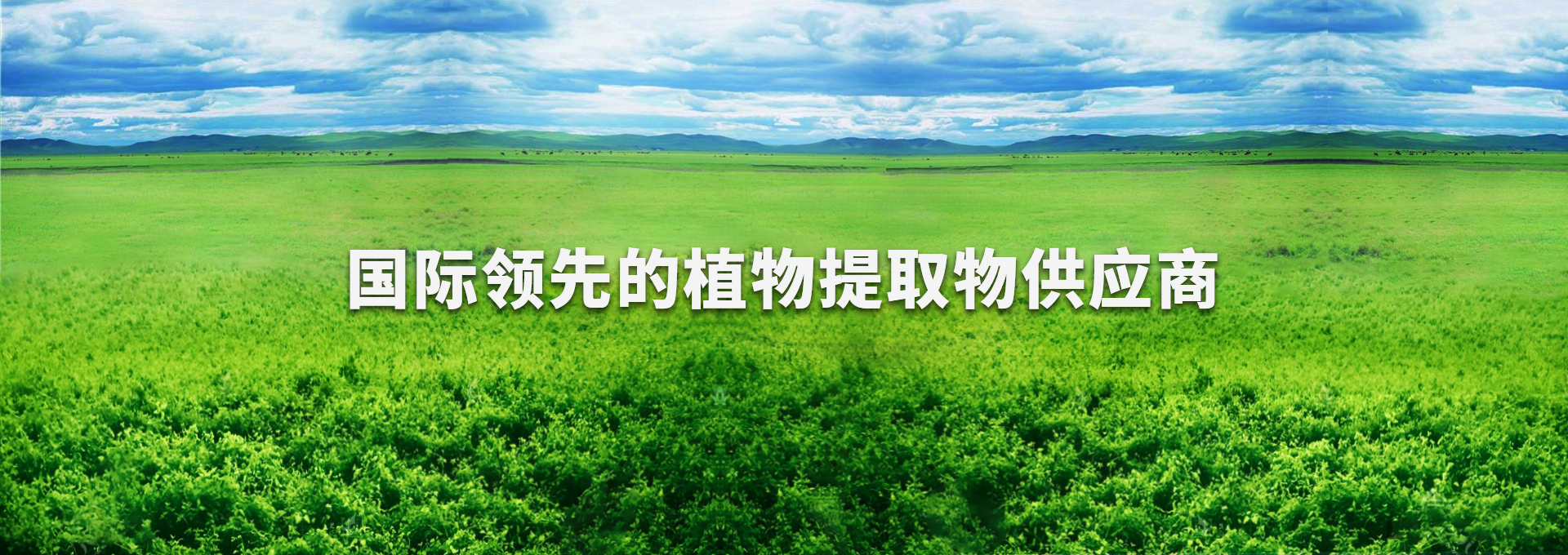 J9国际站备用【唯一】官方网站