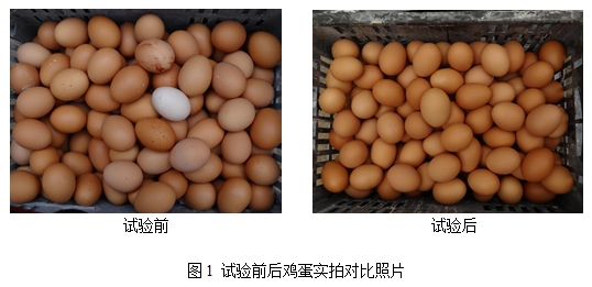 61e0d1088860a 61e0d1088860a