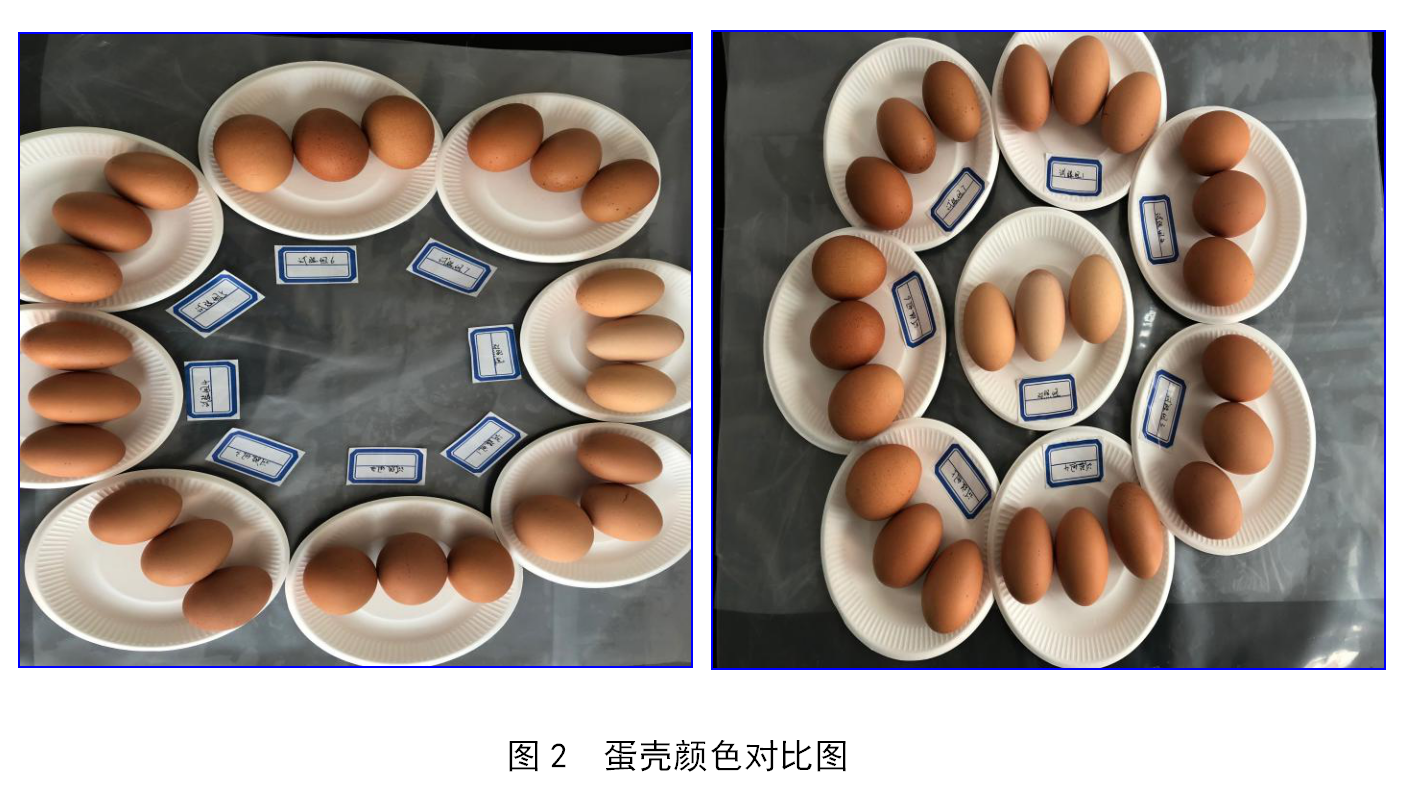 J9国际站备用【唯一】官方网站