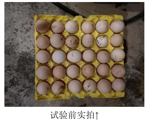 J9国际站备用【唯一】官方网站