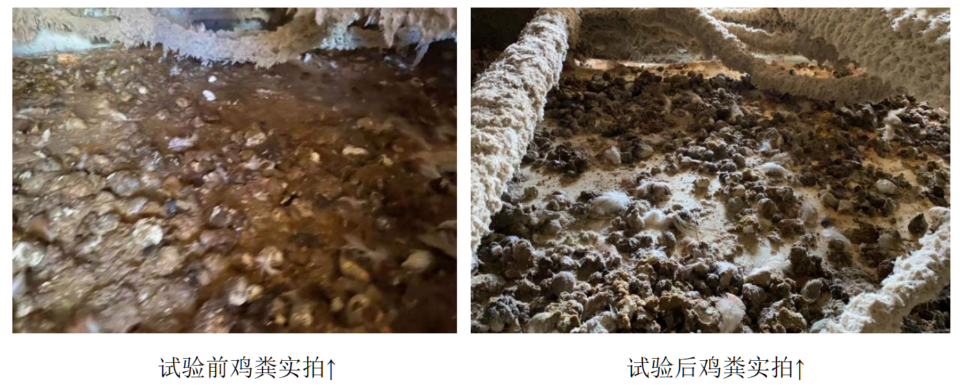 J9国际站备用【唯一】官方网站