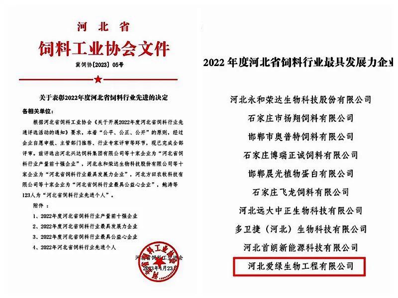 J9国际站备用【唯一】官方网站