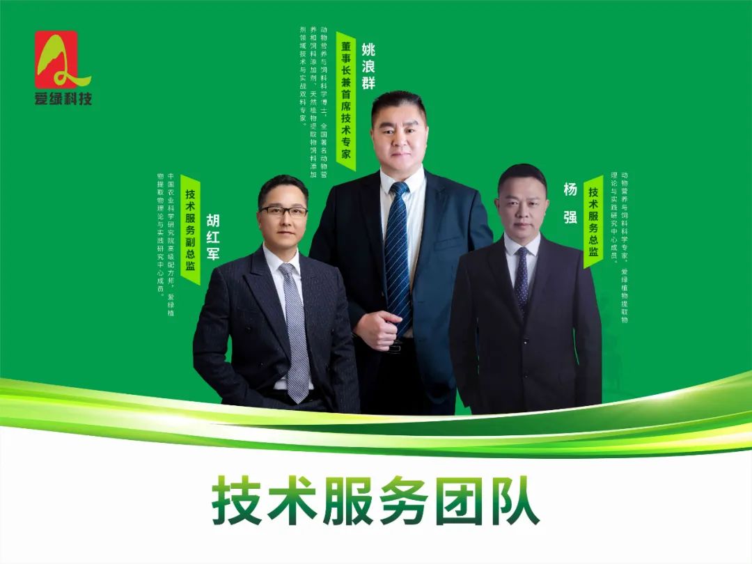 647d44833fc8e 647d44833fc8e