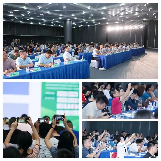 J9国际站备用【唯一】官方网站