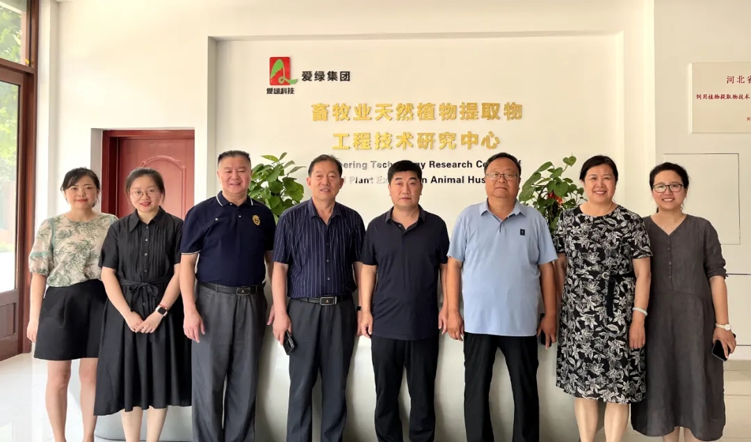 J9国际站备用【唯一】官方网站